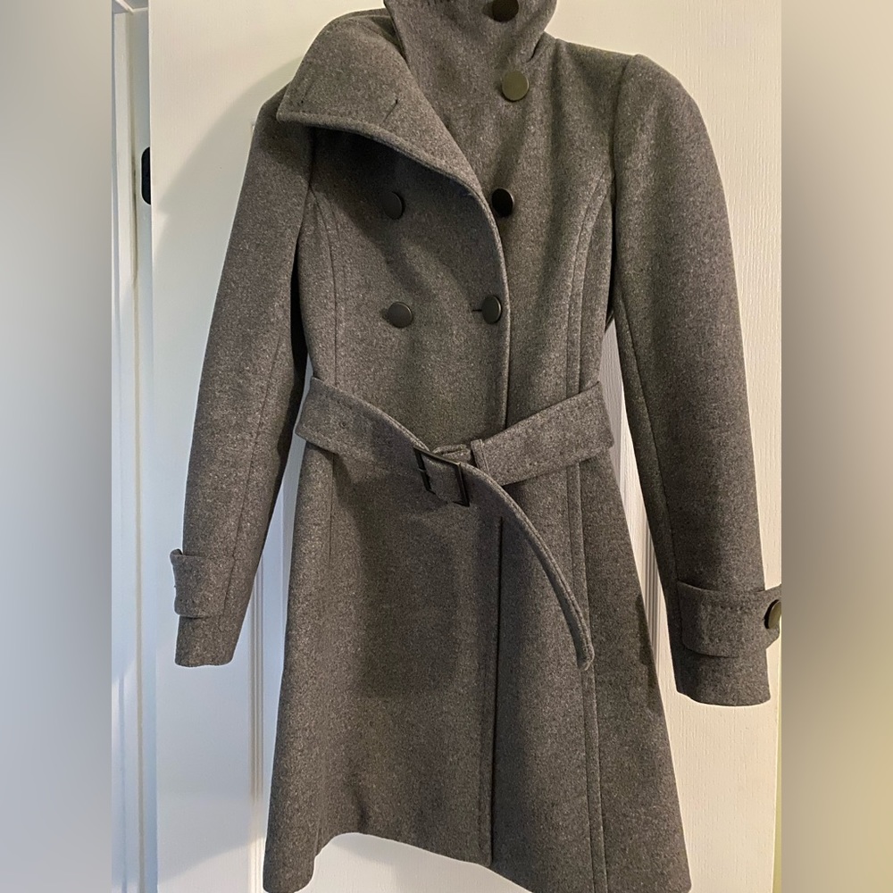 Aritzia coat